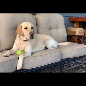 Meet your Posher, Jennifer